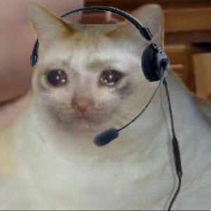 Meet your Posher, Jose